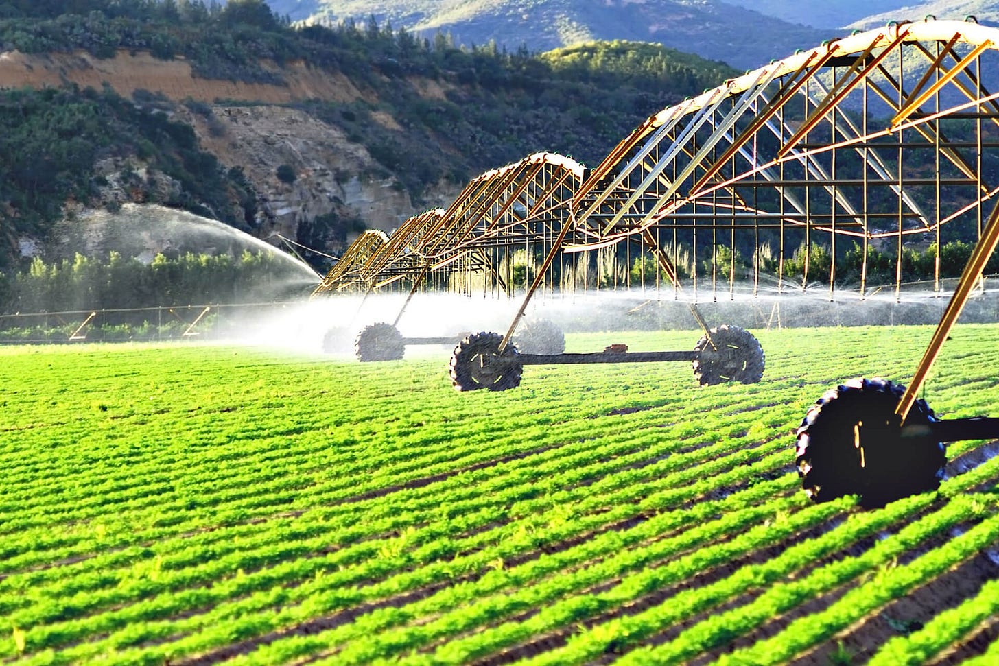 Maximising Crop Yield with Center Pivot Systems in Australia