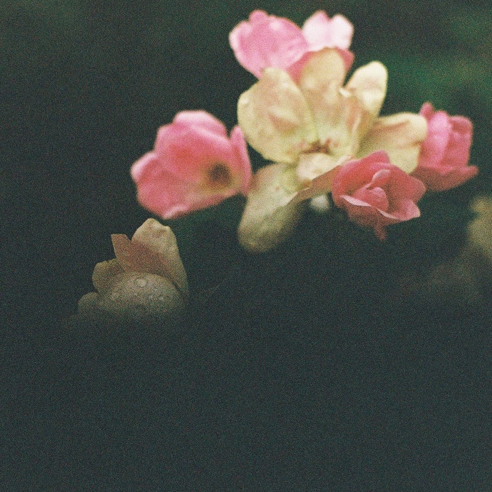 Kaleidoscope Turnings