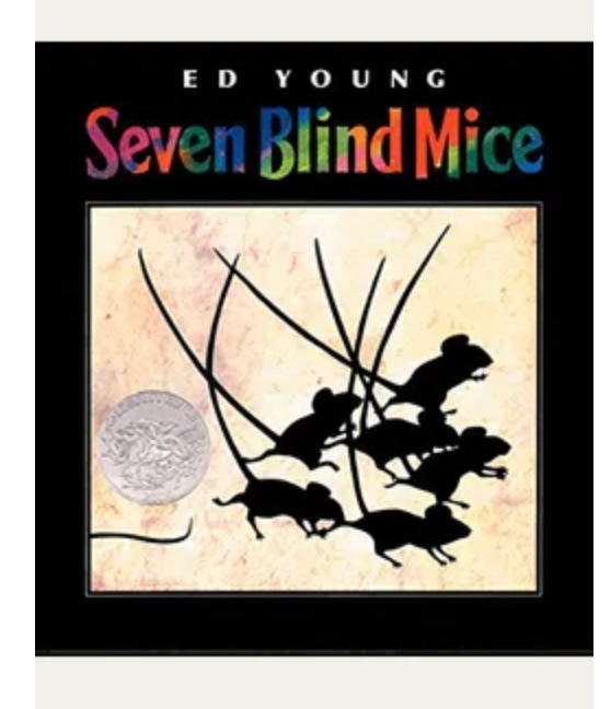 mouse, blind mice, details, observe, perception, feel, touch, texture, size