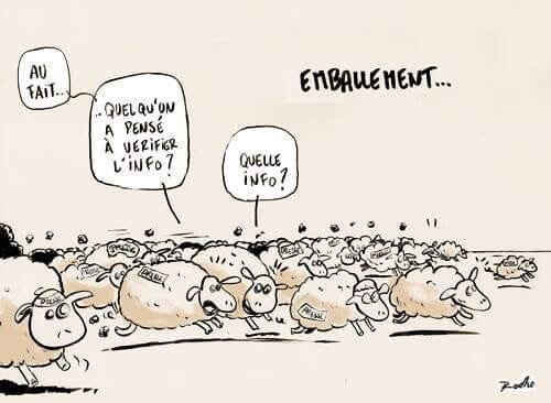 Aucun texte alternatif pour cette image