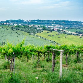 A week dedicated to Abruzzo and a pantry Q&A with Domenica Marchetti
