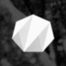 L'illa dels monstres