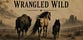 Wrangled Wild