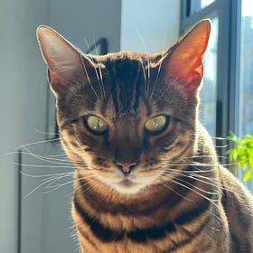 Contrarian Pet of the Week