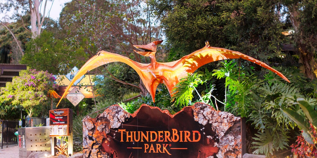 Discover thundereggs and drive diggers behind the GC at Thunderbird Park