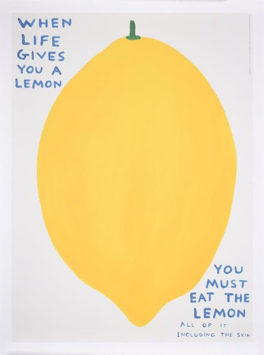 David Shrigley | YOU MUST EAT THE LEMON (2021) | MutualArt