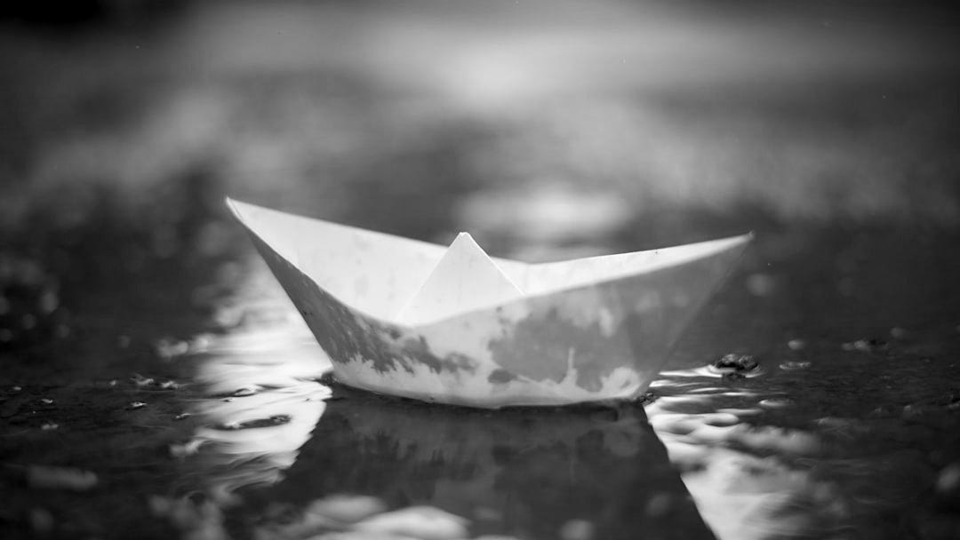 shallow focus photography of white paper boat on body of water shallow focus photography of white paper boat on body of water