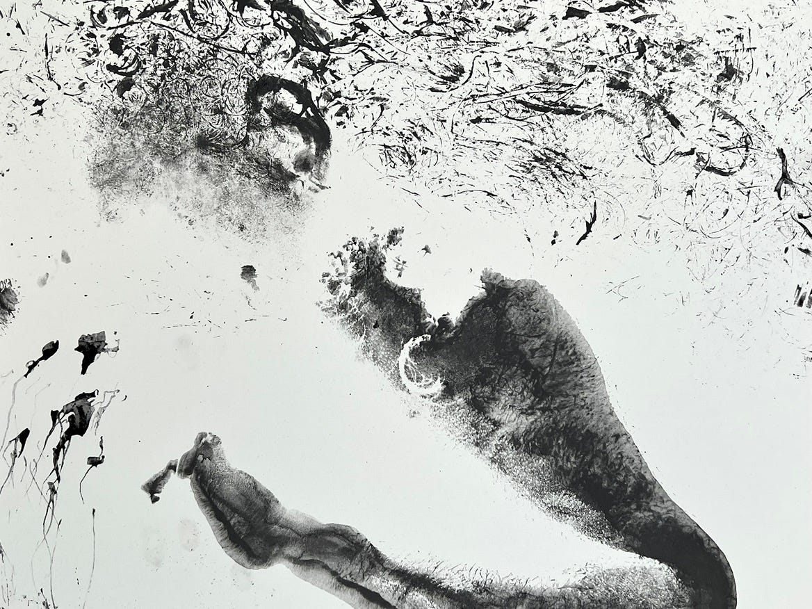 Constança Saturnino