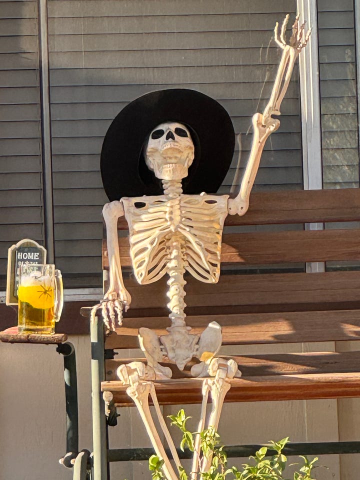 Various Halloween displays--including witches, skeletons, spiders, and a talking medieval knight--in front yards along Santa Paula Street.