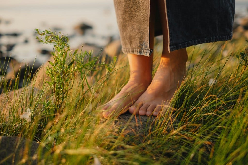 A close-up of bare feet standing on a rocky surface surrounded by lush green grass with a calm water background.