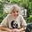 Kate Housden's avatar