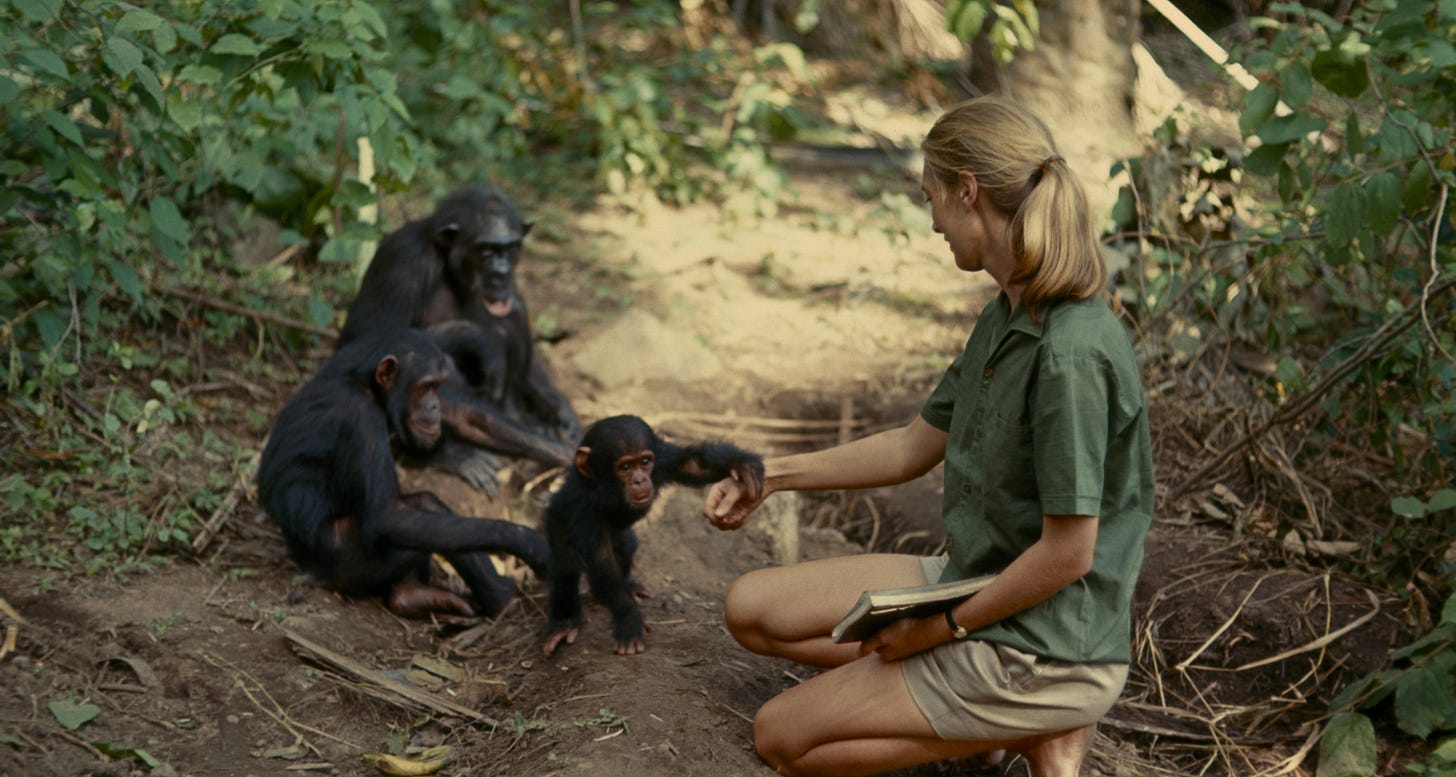 Homepage - Jane Goodall Institute Australia