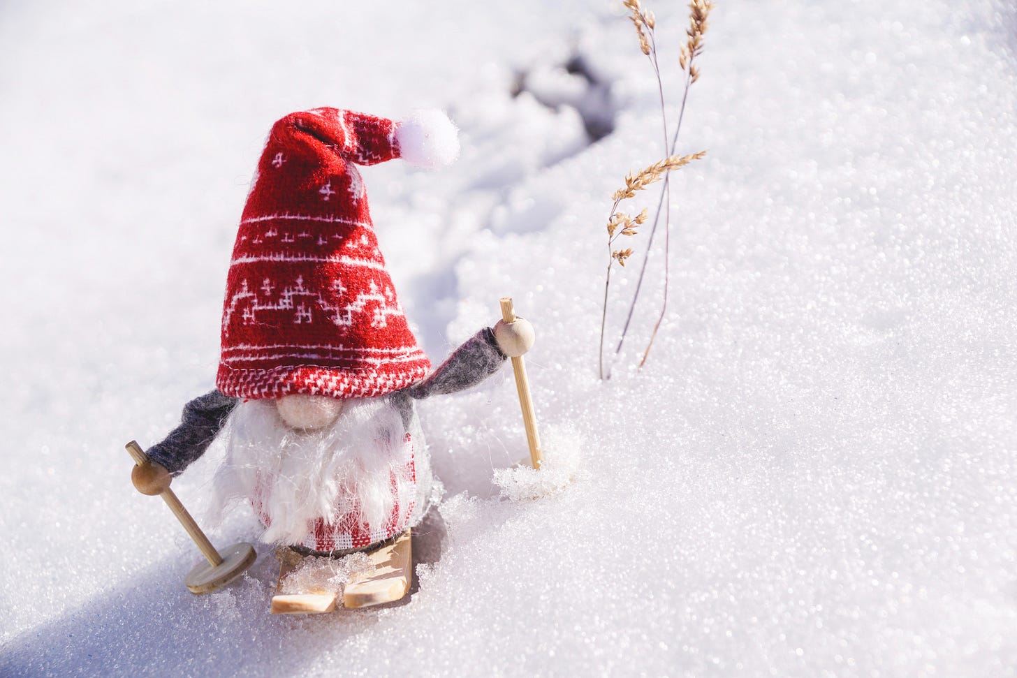 cute gnome in red hat skiing cute gnome in red hat skiing