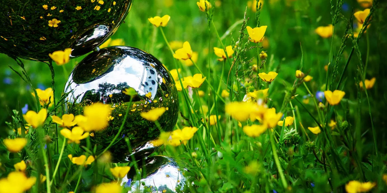 Safari Garden Video Tour - Part 1