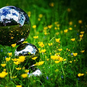 Safari Garden Video Tour - Part 1