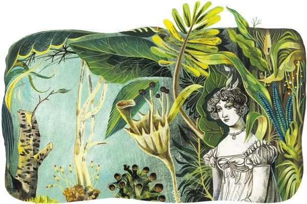 Elizabeth Gilbert's 'Signature of All Things' - The New York Times