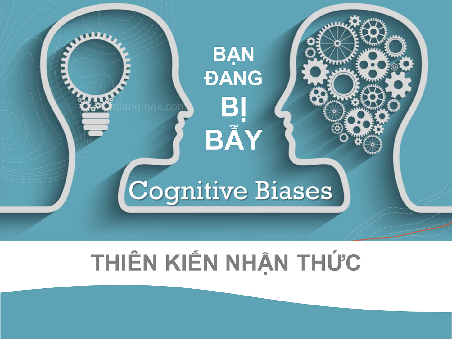 thiên kiến nhận thức, thiên kiến nhận thức,