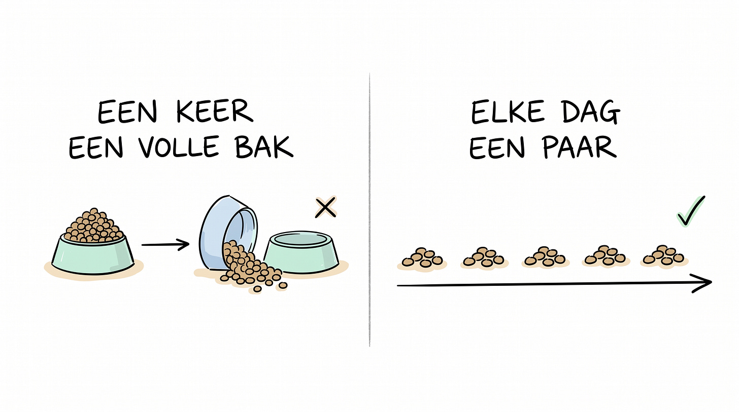 Whiteboardschets met links een omgevallen lege voerbak onder EEN KEER EEN VOLLE BAK en rechts een rij van vijf kleine hoopjes brokjes onder ELKE DAG EEN PAAR, met een pijl die doorloopt Whiteboardschets met links een omgevallen lege voerbak onder EEN KEER EEN VOLLE BAK en rechts een rij van vijf kleine hoopjes brokjes onder ELKE DAG EEN PAAR, met een pijl die doorloopt