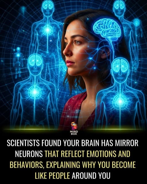 May be an image of text that says 'MIND Ox OX SCIENTISTS FOUND YOUR BRAIN HAS MIRROR NEURONS THAT REFLECT EMOTIONS AND BEHAVIORS, EXPLAINING WHY YOU BECOME LIKE PEOPLE AROUND YOU'