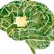 AI Unleashed