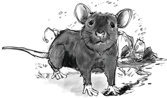 Effects of the Fungal Horror on a common mouse