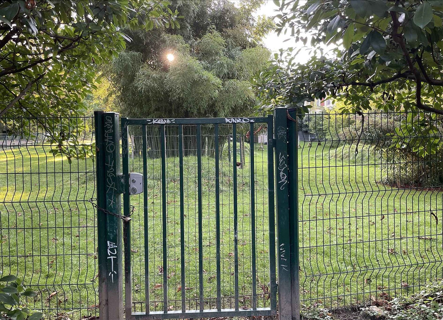 The back gate of the wallaby enclosure at the Botanical Garden, Paris, France.