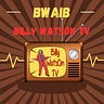 Billy Watson TV
