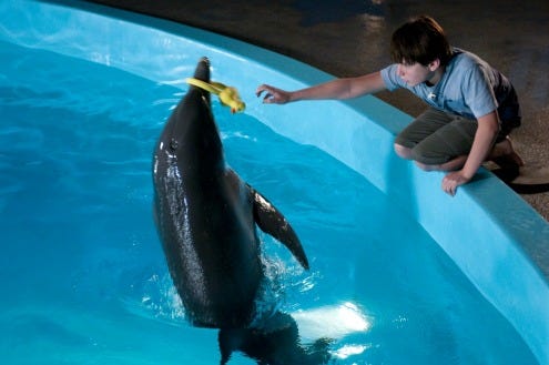 Dolphin tale inside