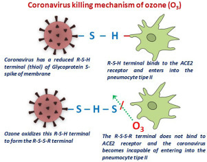Recent case studies on the use of ozone to combat coronavirus: Problems and  perspectives - ScienceDirect