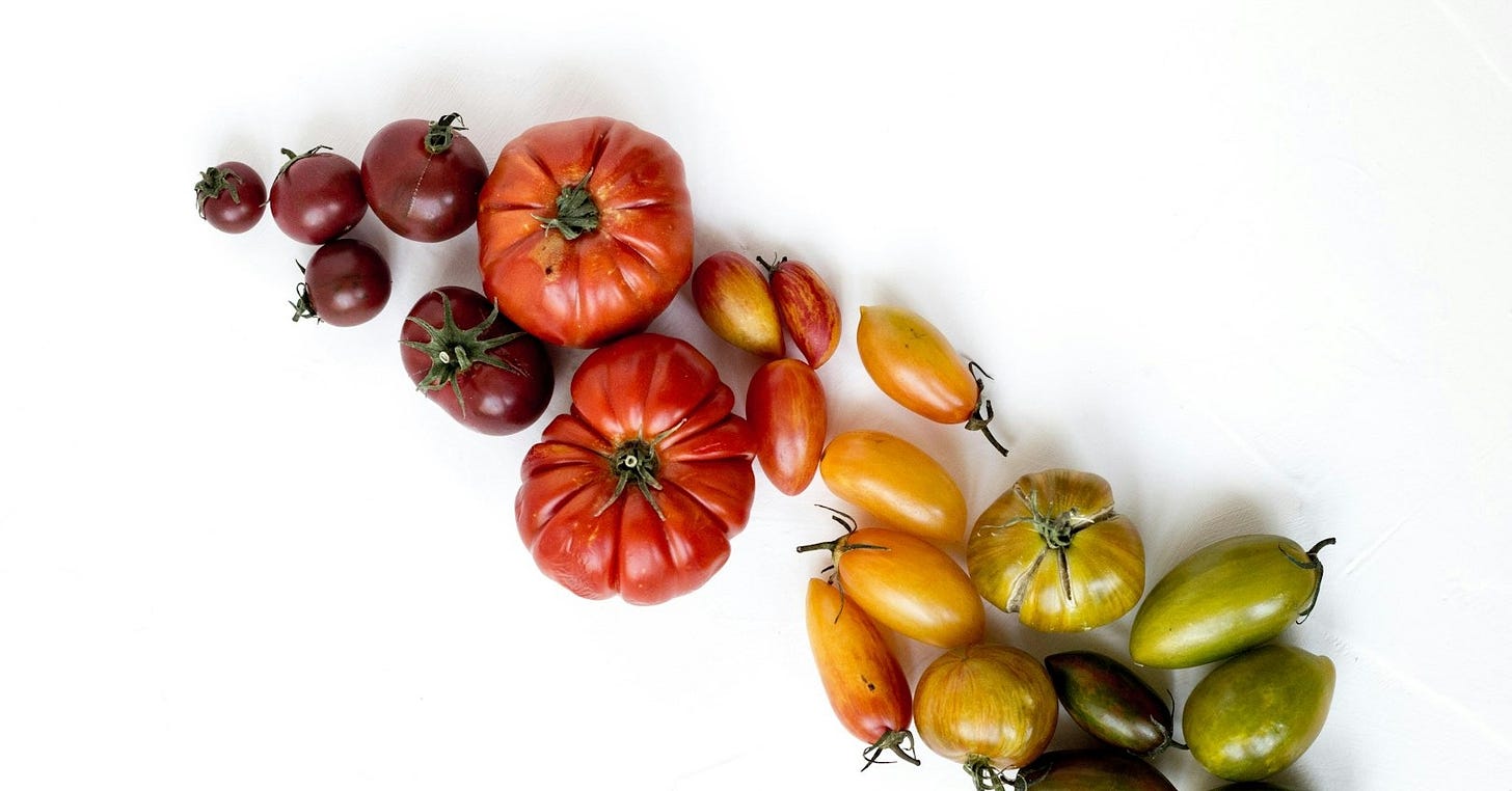 assorted-type of vegetables