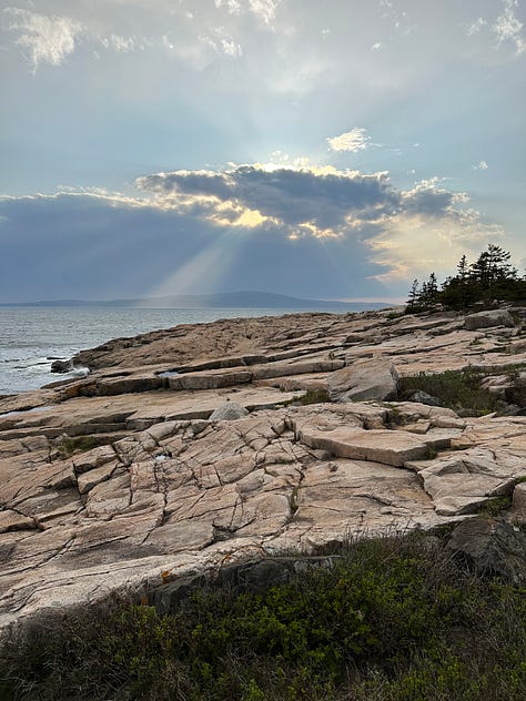 Photos of the campground, ocean, hiking, and dogs