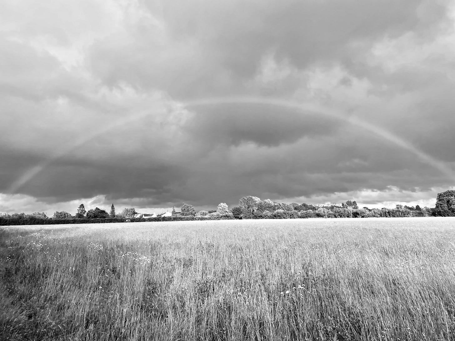 A grey rainbow against dark clouds arches over silver grass, with black and white buildings and trees in the middle A grey rainbow against dark clouds arches over silver grass, with black and white buildings and trees in the middle