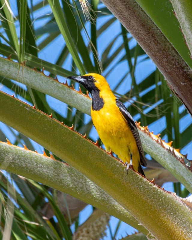 20200616_MBY-53.jpg 20200616_MBY-53.jpg