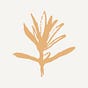 Stephanie Fielden Art & Design's avatar