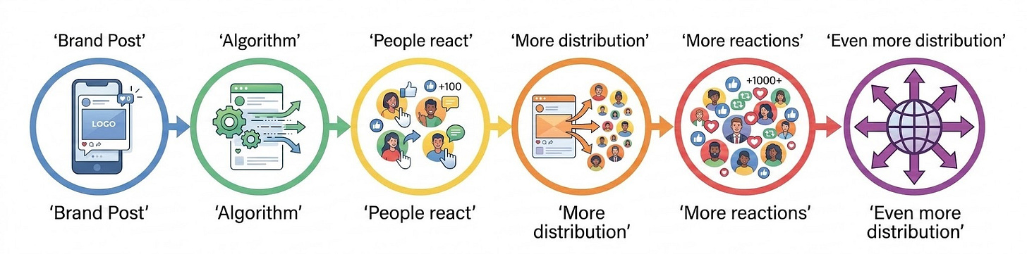 A minimal, colorful, horizontal diagram visualizing a social media attention cycle process flow with the following steps connected by arrows: 'Brand Post', 'Algorithm', 'People react', 'More distribution', 'More reactions', and 'Even more distribution'. The style is clean and professional. A minimal, colorful, horizontal diagram visualizing a social media attention cycle process flow with the following steps connected by arrows: 'Brand Post', 'Algorithm', 'People react', 'More distribution', 'More reactions', and 'Even more distribution'. The style is clean and professional.