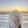 Deb S Kent's avatar
