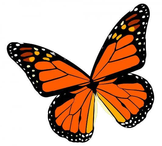 Monarch Butterfly Free Stock Photo - Public Domain Pictures