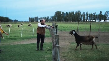 Cuando acecha la maldad - 
Demián Rugna (2023) (Captura del Trailer Oficial)