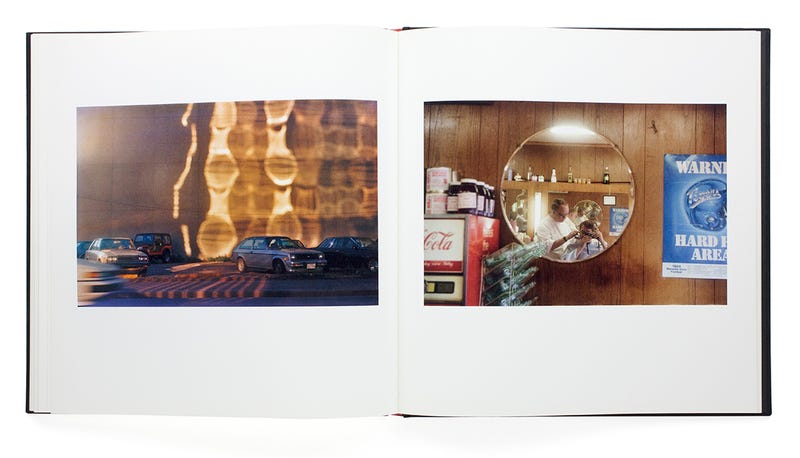 The Democratic Forest Selected Works - William EGGLESTON | shashasha 写々者 -  Photography & art in books