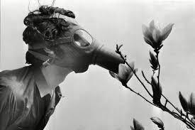 Earth Day 1970: Photo Gallery