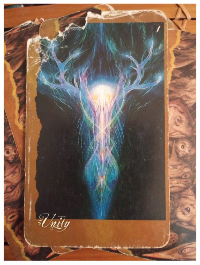 Finding Unity in a Chaotic World - Half-Cracked Guru