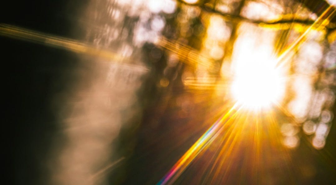 sun flare through tree branches sun flare through tree branches