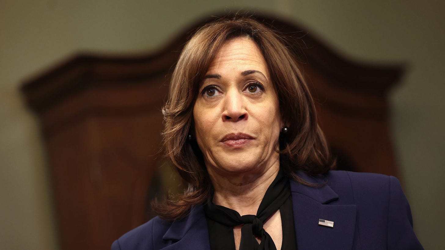 Democratic leaders want the party to stop its Kamala Harris pile-on ahead  of 2024 | CNN Politics