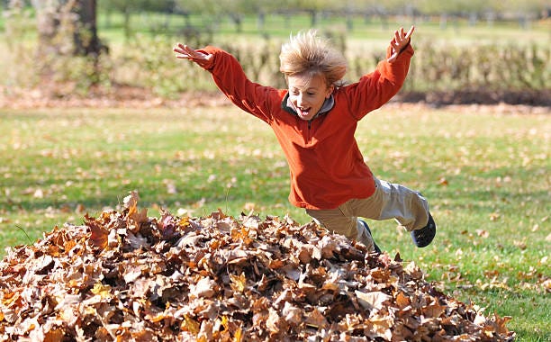 Jumping into pile leaves : 265 images, photos et images vectorielles de ...