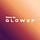Time To GlowUp