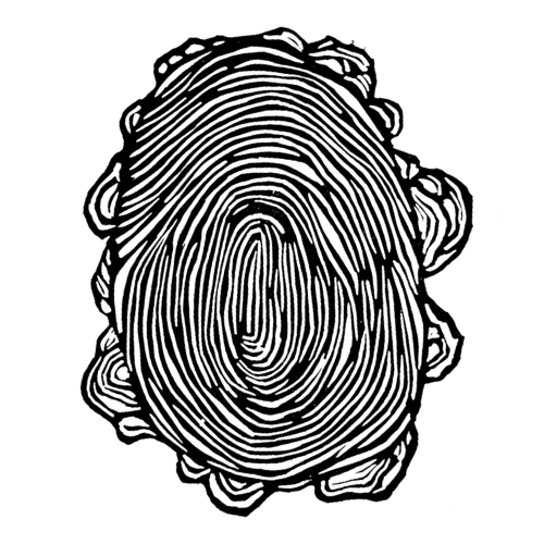Wholly Earth logo