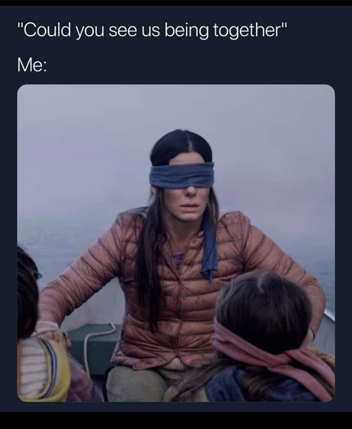 𝓔𝓜𝓔𝓡𝓐𝓛𝓓 ꨄ on X: "These bird box memes are funny af 😂  https://t.co/tP1BFK3M8y" / X