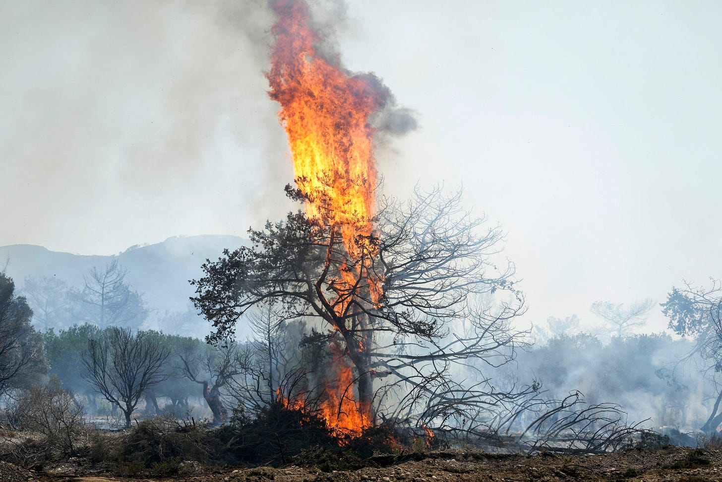 Wildfires rage across the Mediterranean destroying land and claiming lives | CNN Wildfires rage across the Mediterranean destroying land and claiming lives | CNN