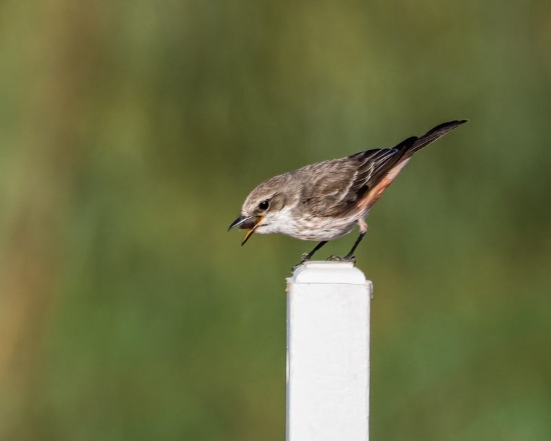 image007.jpg image007.jpg