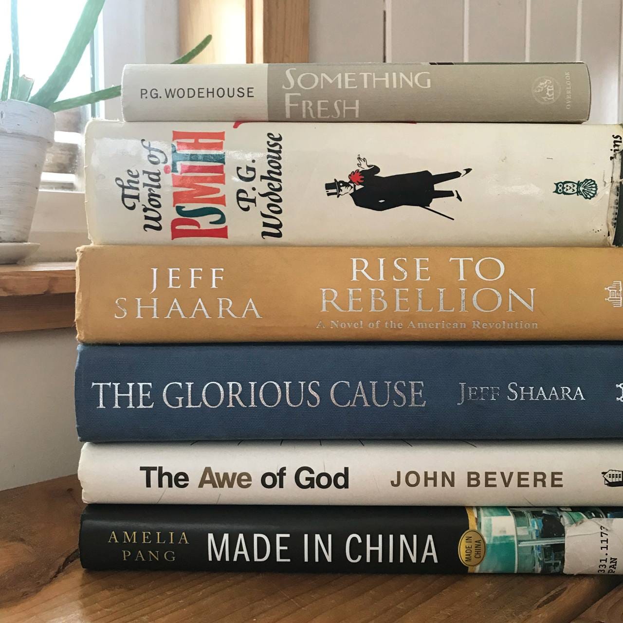 favorite books of 2025 by Shannon Guerra @Copperlight Wood